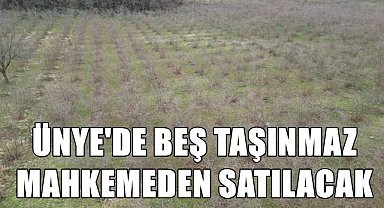 Ünye'de Milyonluk Taşınmazlar Mahkemeden Satışa Çıktı