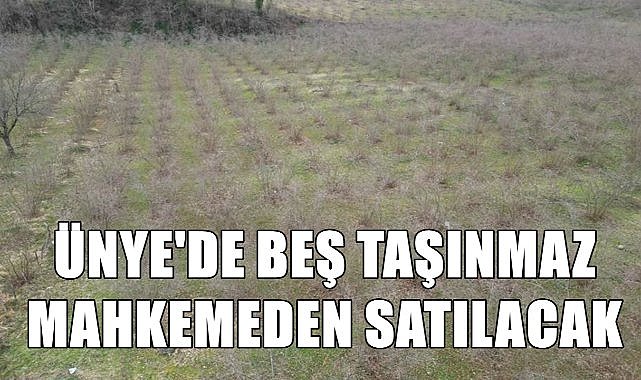 Ünye&#039;de Milyonluk Taşınmazlar Mahkemeden Satışa Çıktı