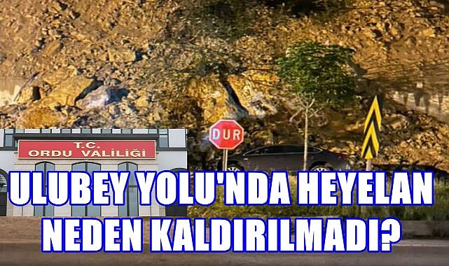 Valilik Açıkladı; Ordu'da Heyelanlı Yol Hala Neden Açılmıyor? 