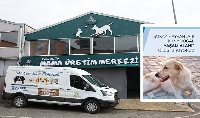 Altınordu’da Sokak Hayvanlarına Yeni Doğal Yaşam Alanı Kuruluyor