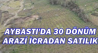 Aybastı’da 30 Dönüm Arazi İcradan Satışa Çıkıyor