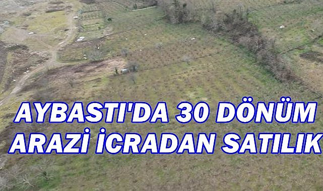 Aybastı’da 30 Dönüm Arazi İcradan Satışa Çıkıyor