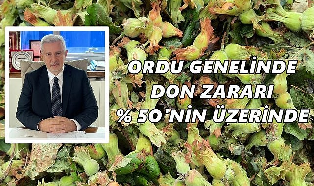 Cem Şenocak: Ordu’da Fındıkta Yüzde 50’den Fazla Zarar – Küçük Çiftçilere Acil Destek Şart!