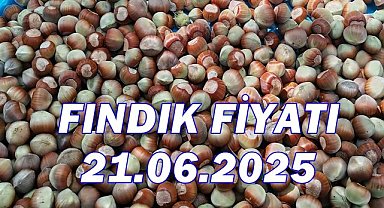 Fındık 21 Haziran 2025 Cumartesi