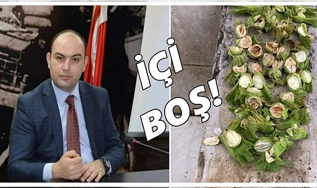 Fındık Çotanakları Göründüğü Gibi Değil: İçleri Boş Çıkıyor