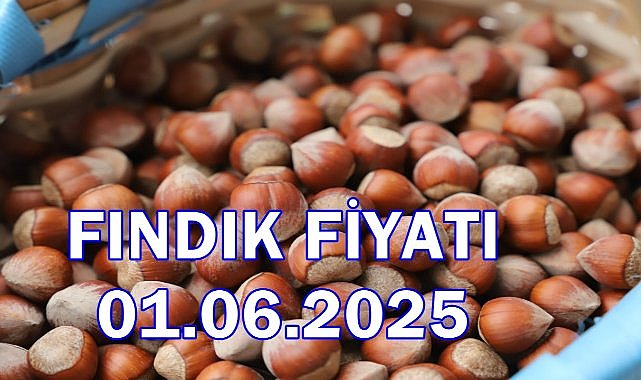 Fındık Fiyatı 01 Haziran 2025 Pazar
