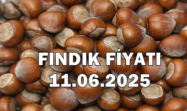 Fındık Fiyatı 11 Haziran 2025 Çarşamba