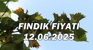 Fındık Fiyatı 12 Haziran 2025 Perşembe