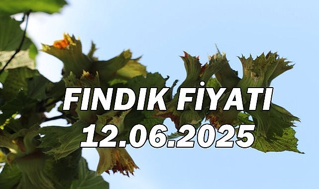 Fındık Fiyatı 12 Haziran 2025 Perşembe
