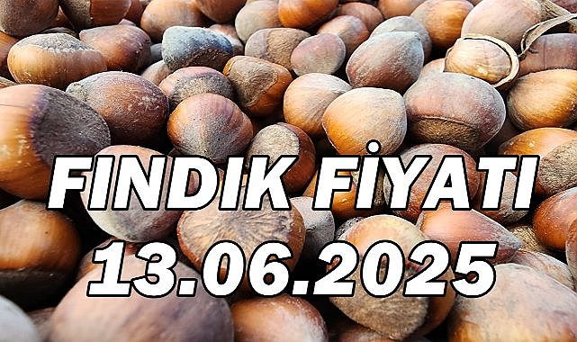 Fındık Fiyatı 13 Haziran 2025 Cuma