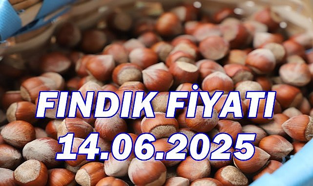 Fındık Fiyatı 14 Haziran 2025 Cumartesi