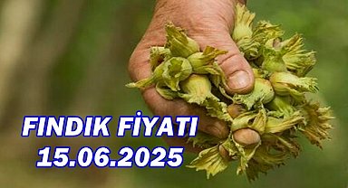 Fındık Fiyatı 15 Haziran 2025 Pazar