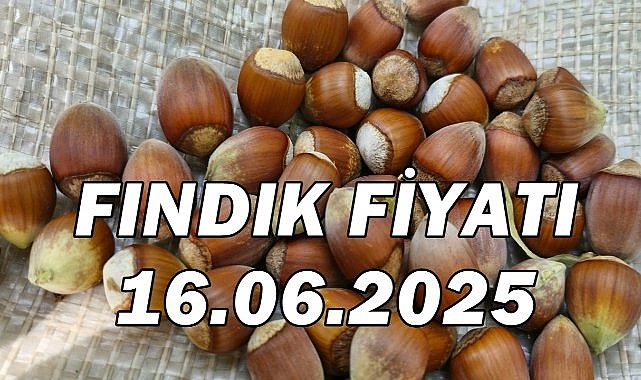 Fındık Fiyatı 16 Haziran 2025 Pazartesi