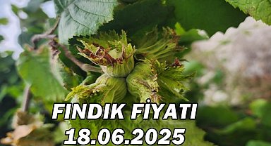 Fındık Fiyatı 18.06.2025
