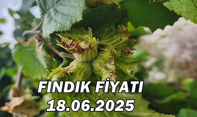 Fındık Fiyatı 18.06.2025