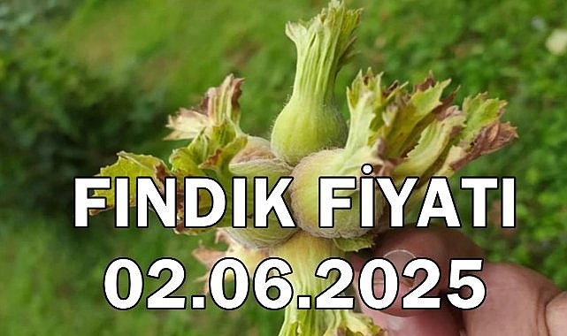 Fındık Fiyatı 2 Haziran 2025 Pazartesi