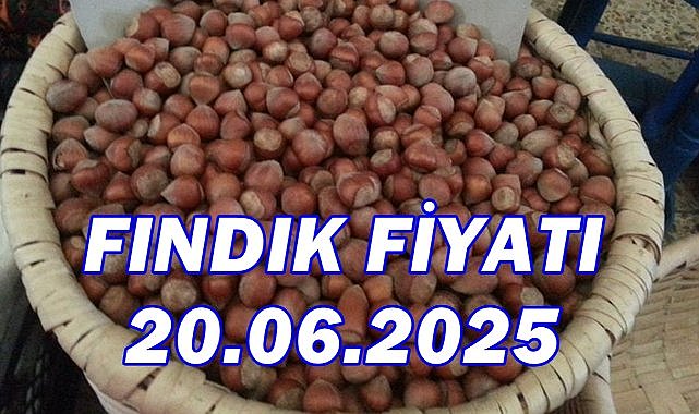 Fındık Fiyatı 20 Haziran 2025 Cuma