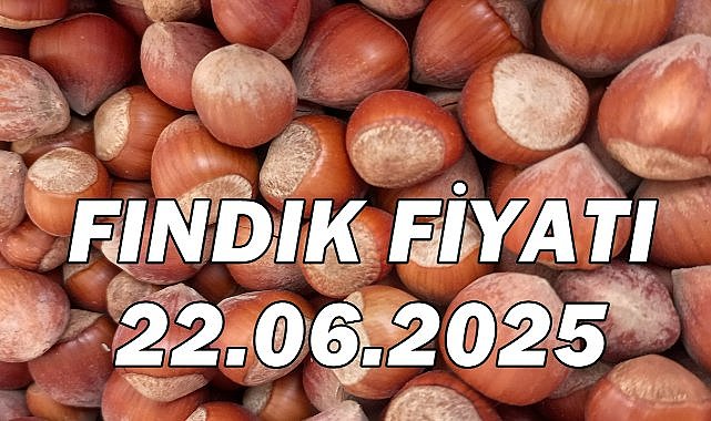 Fındık Fiyatı 22 Haziran 2025 Pazar