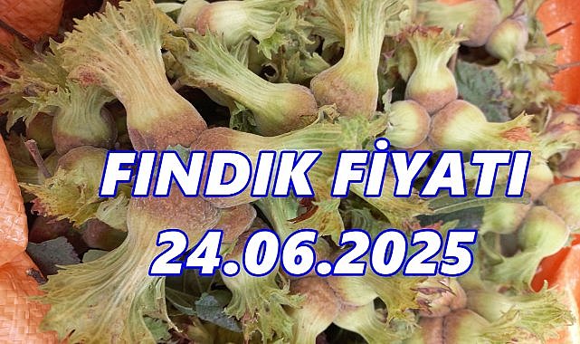 Fındık Fiyatı 24 Haziran 2025 Salı