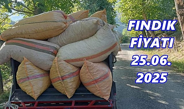 Fındık Fiyatı 25 Haziran 2025 Çarşamba