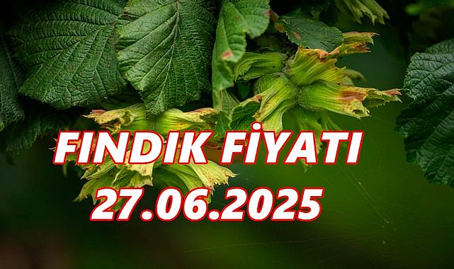 Fındık Fiyatı 27 Haziran 2025 Cuma
