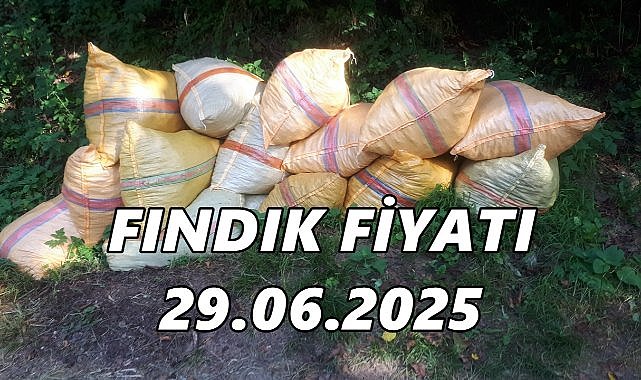 Fındık Fiyatı 29 Haziran 2025 Pazar