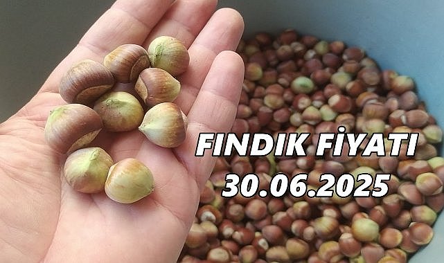 Fındık Fiyatı 30 Haziran 2025 Pazartesi