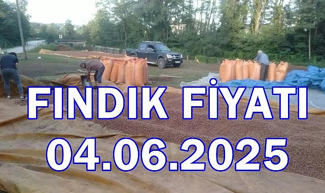 Fındık Fiyatı 4 Haziran 2025 Çarşamba
