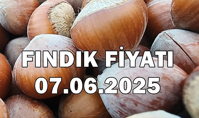 Fındık Fiyatı 7 Haziran 2025 Cumartesi