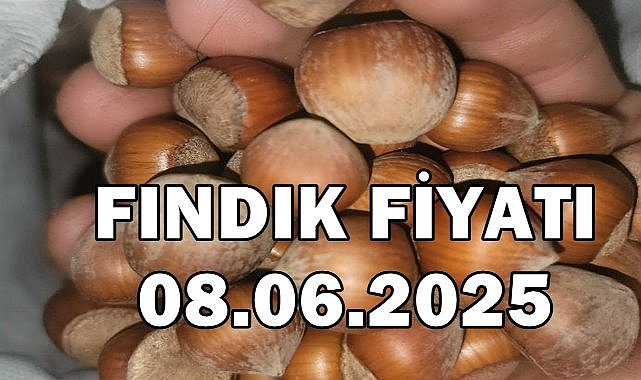 Fındık Fiyatı 8 Haziran 2025 Pazar