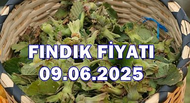 Fındık Fiyatı 9 Haziran 2025 Pazartesi