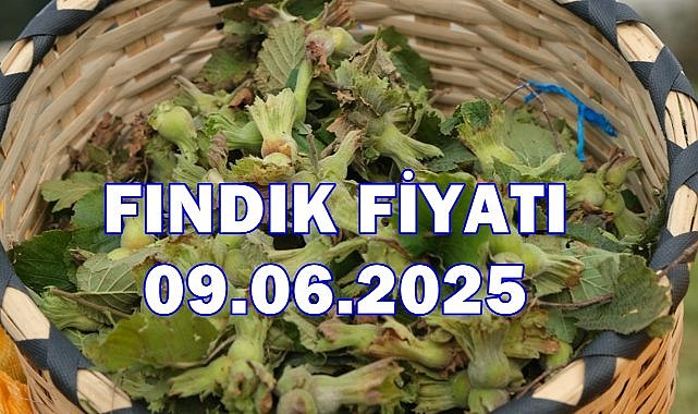 Fındık Fiyatı 9 Haziran 2025 Pazartesi
