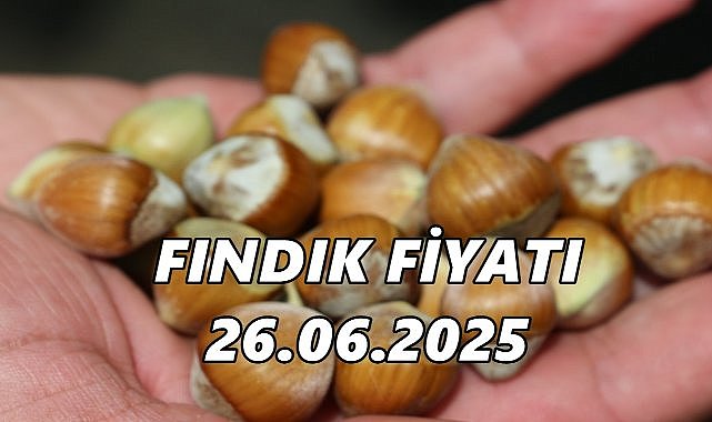 Fındık Fiyatı Ordu&#039;da Üreticiyi Memnun Etmiyor