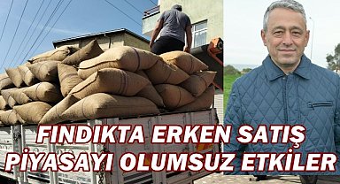 Fındık Fiyatları ve Rekolte Tahminleri 2024-25: Bindaş’tan Kritik Analiz