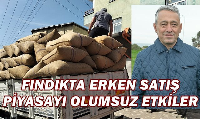 Fındık Fiyatları ve Rekolte Tahminleri 2024-25: Bindaş’tan Kritik Analiz