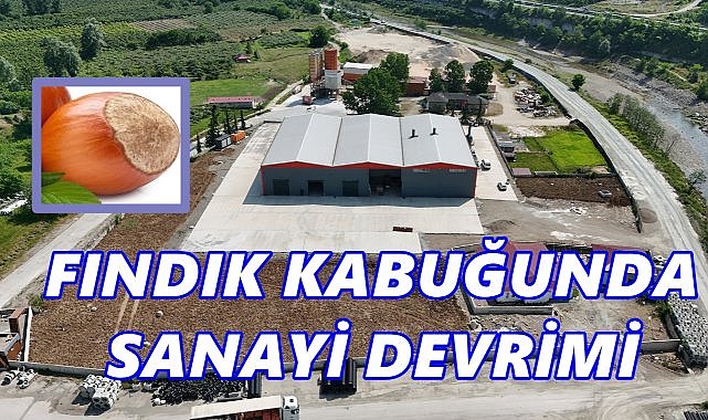 Fındık Kabuğundan Sanayi Devrimi: Ordu’da Dünyada Bir İlk Gerçekleşiyor