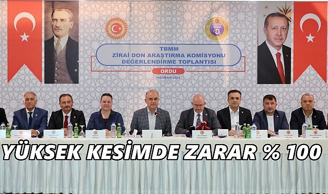 Fındık Üreticisine Kötü Haber: Don Zararı %100’e Ulaştı;Komisyon Sahada Tespit Yaptı