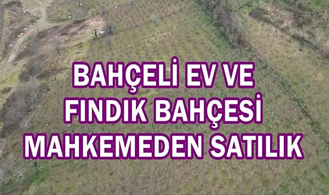 Ordu’da Bahçeli Müstakil Ev ve Tarla İcradan Satılıyor