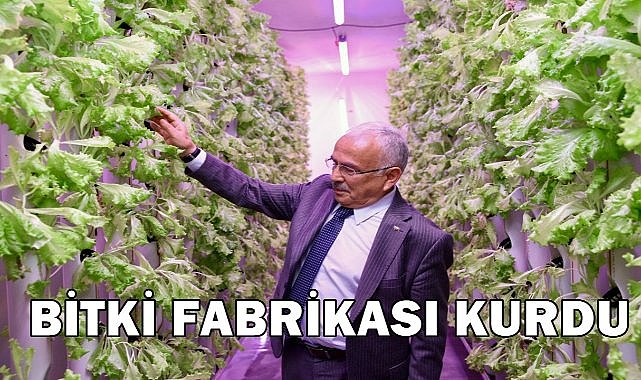 Ordu’da Bitki Fabrikasıyla 30 Günde Marul Hasadı Başladı