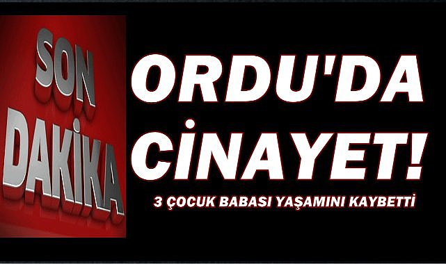 Ordu'da İki Kişinin Kavgası Ölümle Bitti