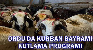 Ordu’da Kurban Bayramı Programı Belli Oldu: İşte Tüm Detaylar