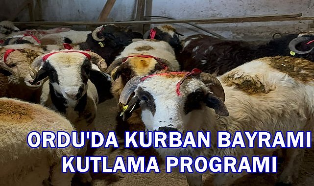 Ordu’da Kurban Bayramı Programı Belli Oldu: İşte Tüm Detaylar