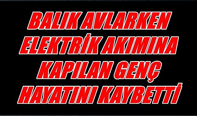 Ordu&#039;da Üzücü Olay: 17 Yaşındaki Genç Balık Avlarken Elektrik Akımına Kapıldı