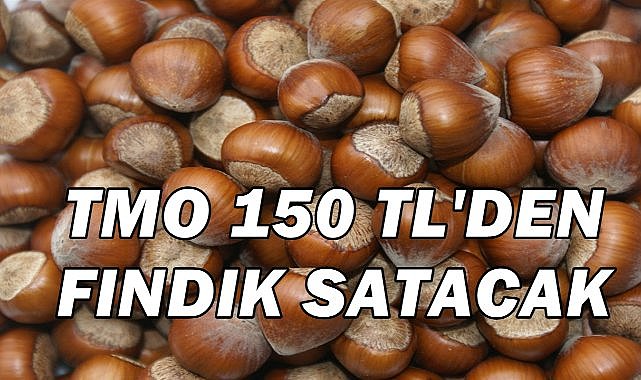 TMO 150 TL&#039;den Fındık Satacak; Piyasalar Tedirgin Oldu