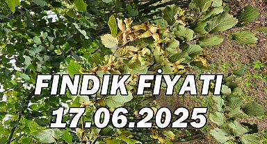 TMO'nun 10 Bin Ton Fındık Satma Kararını Piyasalar Yakından Takip Ediyor