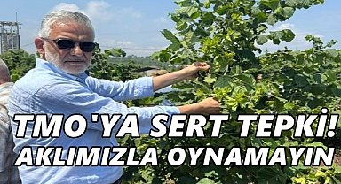  TMO’nun Fındık Satış Kararı Tepki Çekti: “Ölümü Gösterip Sıtmaya Razı Ettiler”