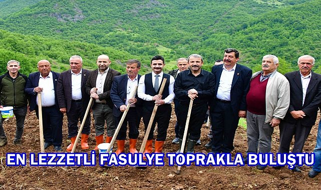 Türkiye'nin En Lezzetli Fasulyesi Toprakla Buluştu; Akkuş Fasulyesinde Hedef Avrupa Pazarı