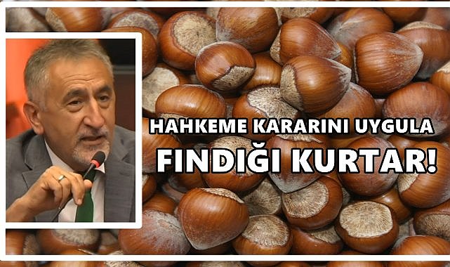 Adıgüzel&#039;den Rekabet Kurumu&#039;na Çağrı: “Mahkeme Kararını Uygula, Fındığı Kurtar!”