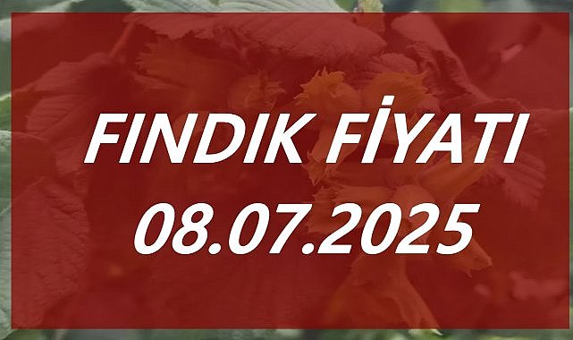 Fındık Fiyatı 08 Temmuz 2025 Salı