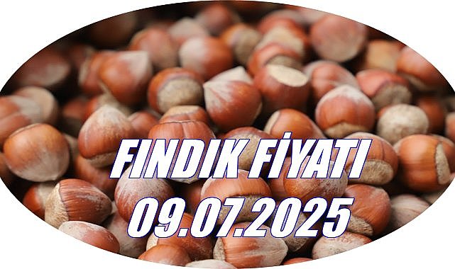 Fındık Fiyatı 09 Temmuz 2025 Çarşamba